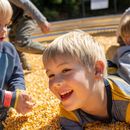 several kids playing in a bright yellow corn pit. 