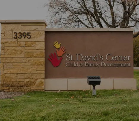 The St Davids display