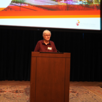 A person giving a presentation at a conference
