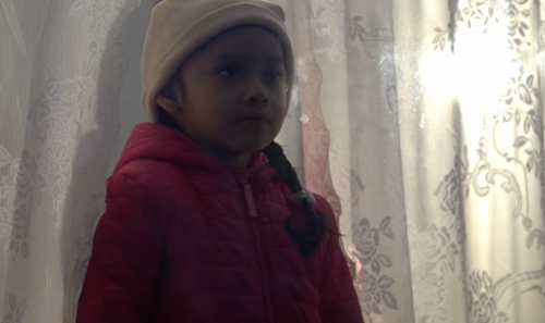 little girl standing in a window