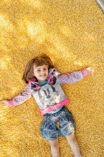 Little girl with dark hair making a "snow angel" in the corn pit. 