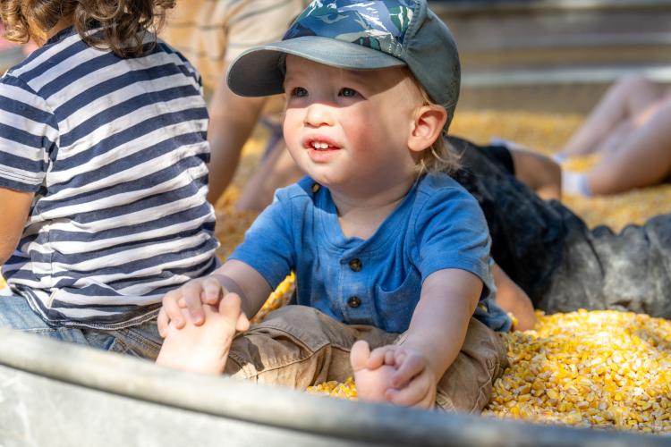 Little boy wearing a baseball hat and blue shirt sitting in a corn pit.