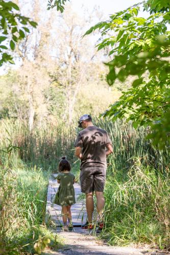 Dad and daughter walking through a school forest, from the back.
