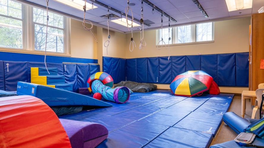occupational therapy gym