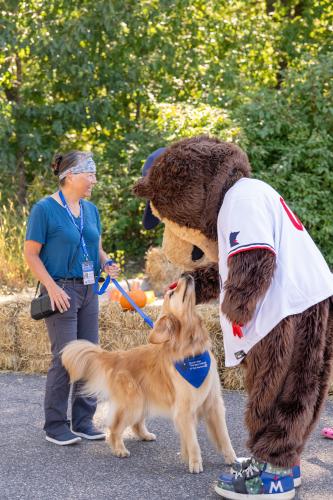 GOAG 25 MTKA tc bear and therapy dog