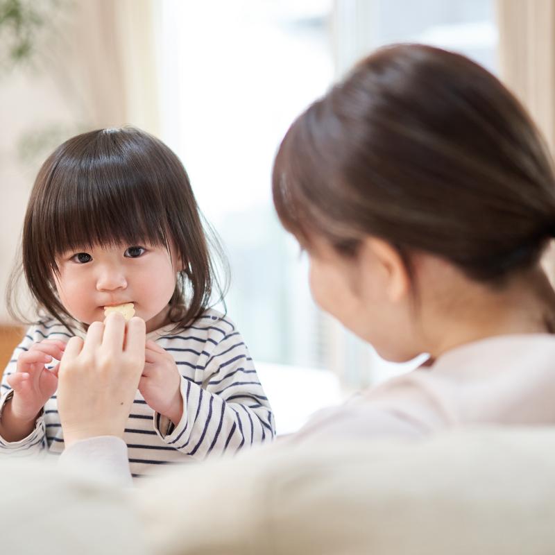 An woman feeding her toddler at a table.